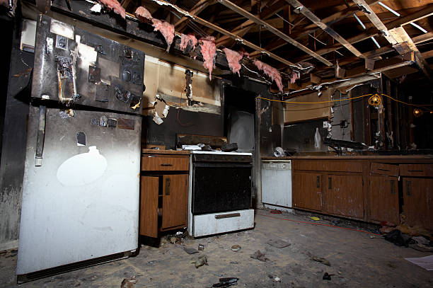 Licensed Fire Damage Removal service in Lake of the Woods, IL - Meridian Smoke Damage